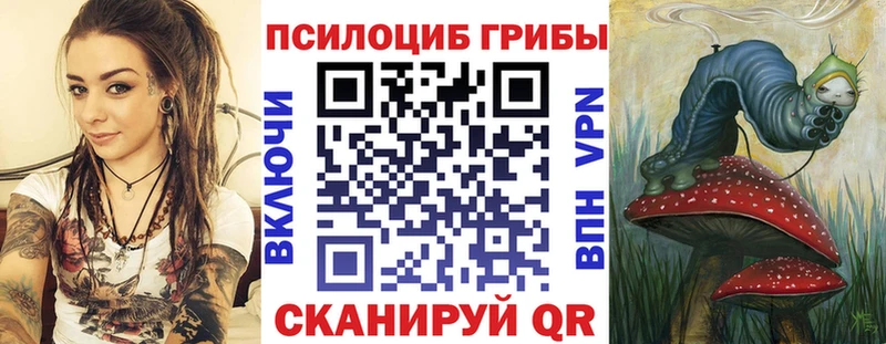 Псилоцибиновые грибы Cubensis  купить наркотики сайты  Дюртюли 